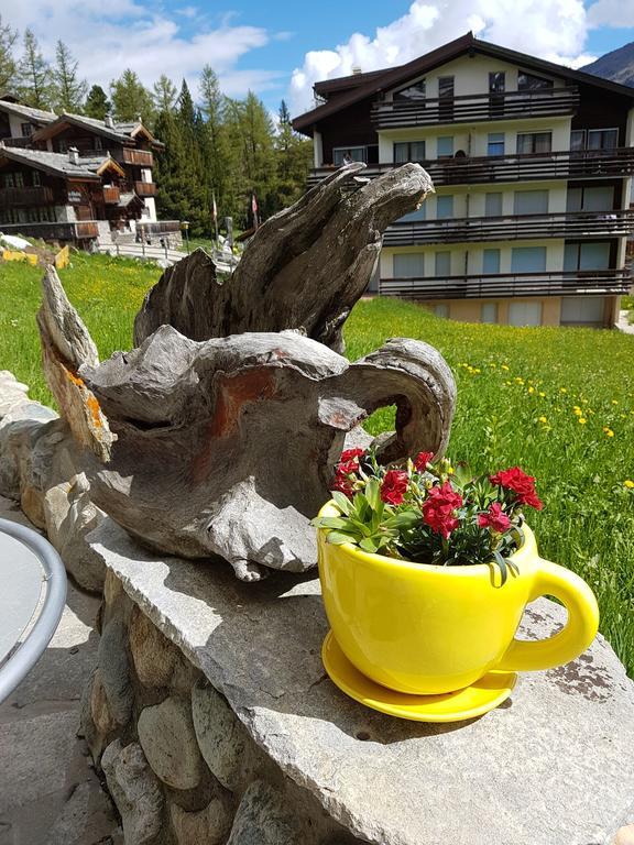 Alpenperle
