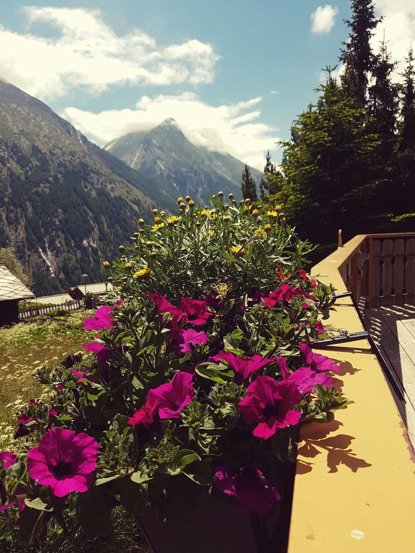 Alpenperle 3* Saas Fee